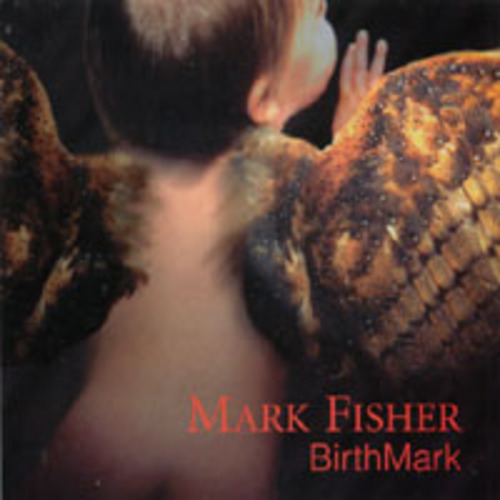 cover of Mark Fisher: Birthmark